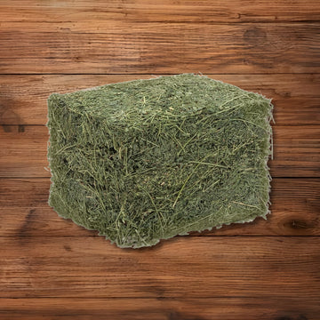 Alfalfa Hay