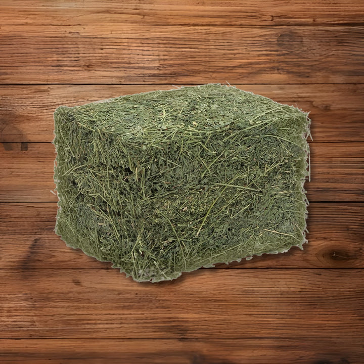 Alfalfa Hay