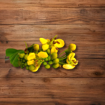 Cassia Tora