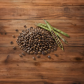 Cassia Tora Seeds