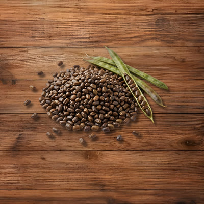 Cassia Tora Seeds